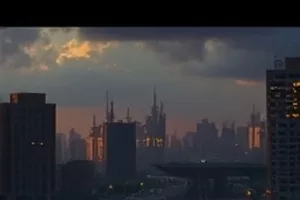 悬疑剧集《白橡树协议》白橡树下旧木牌封面